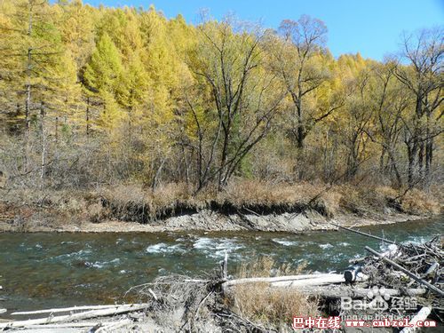 ����ȥ�������Λ�������������ȥ��������^��