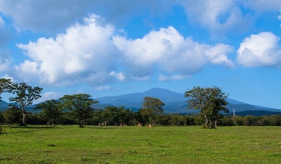 濟(jì)州島上的三多水