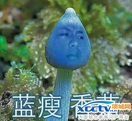 �{(l��n)��,�㹽ʲô��˼ ��һ�W(w��ng)�t�Q����˦papi�u��˼ʮ�˗l��