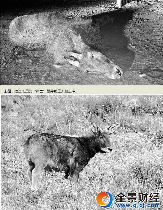 ��F�ȿյ�ǧ�u�� �L����ţ�����������F(xi��n)���������x����