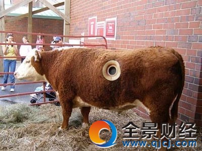 �˂�?c��)�ţ�����_��(g��)�� ���Á�(l��i)���@��