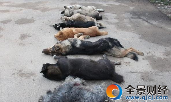 ���Ӟ������a�I�B����8ֻ�� ���S�乷Ҳ�ҳԣ�